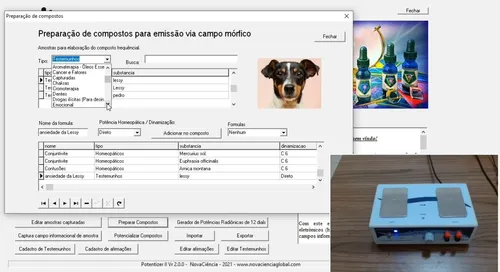 Curso-Potentizer-II-e-Emicard-1