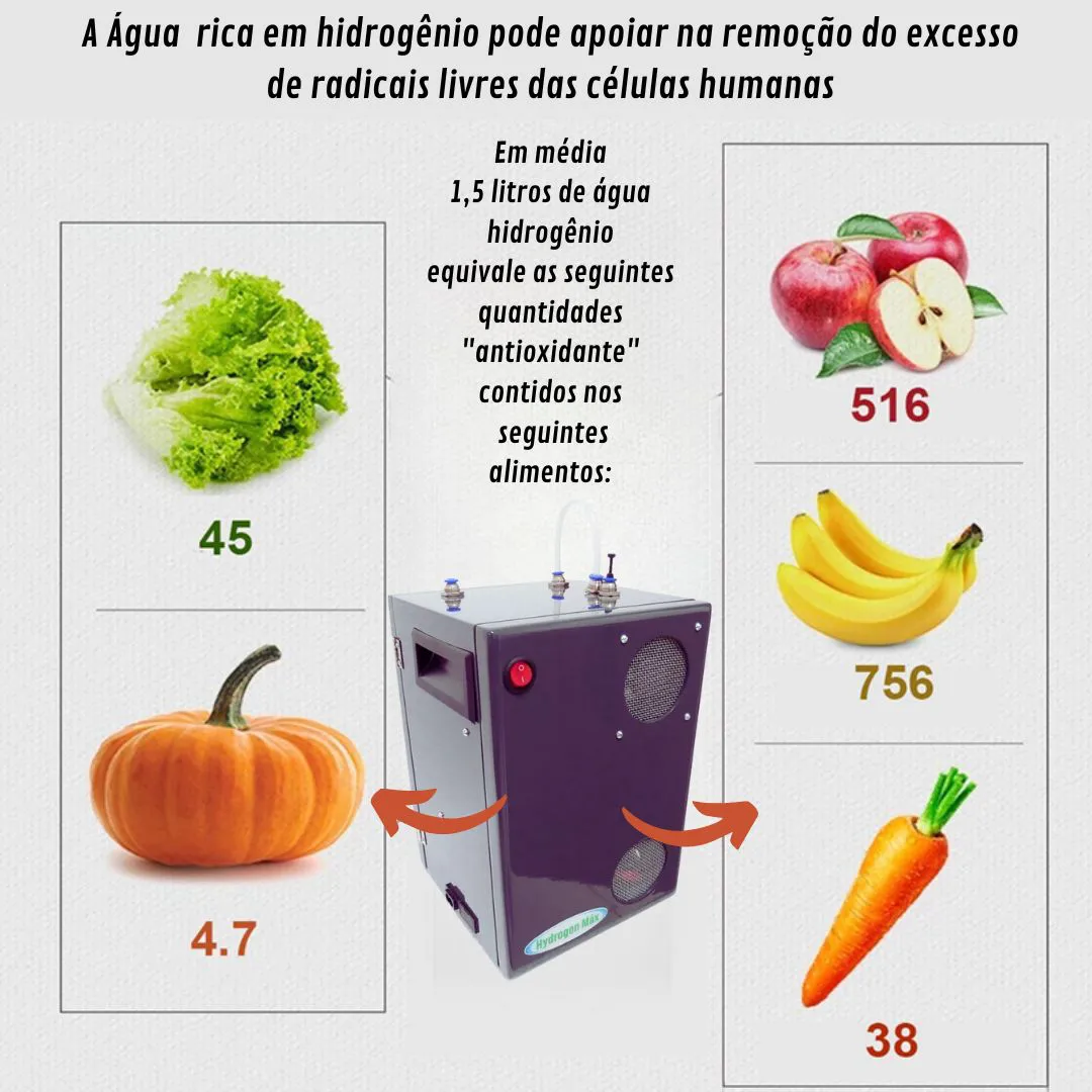 hidrogen_max_351_6_aaa8b19d6a71125dc990d05e2b66d395_20230824091113
